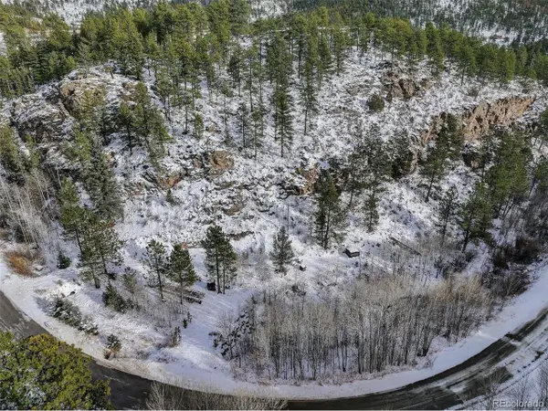 400 Crow Valley Rd, Bailey, CO 80421