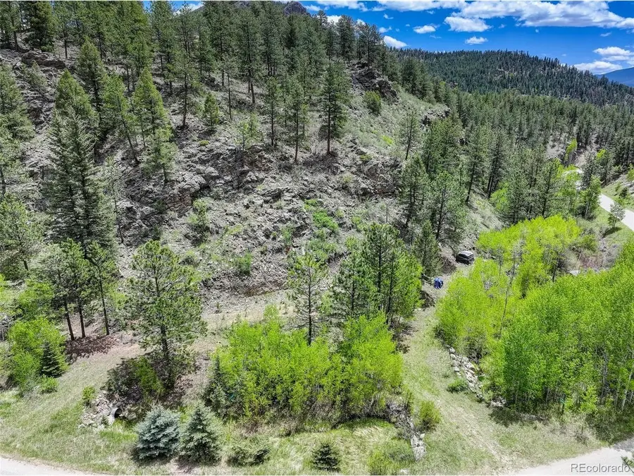 400 Crow Valley Rd, Bailey, CO 80421 - #3