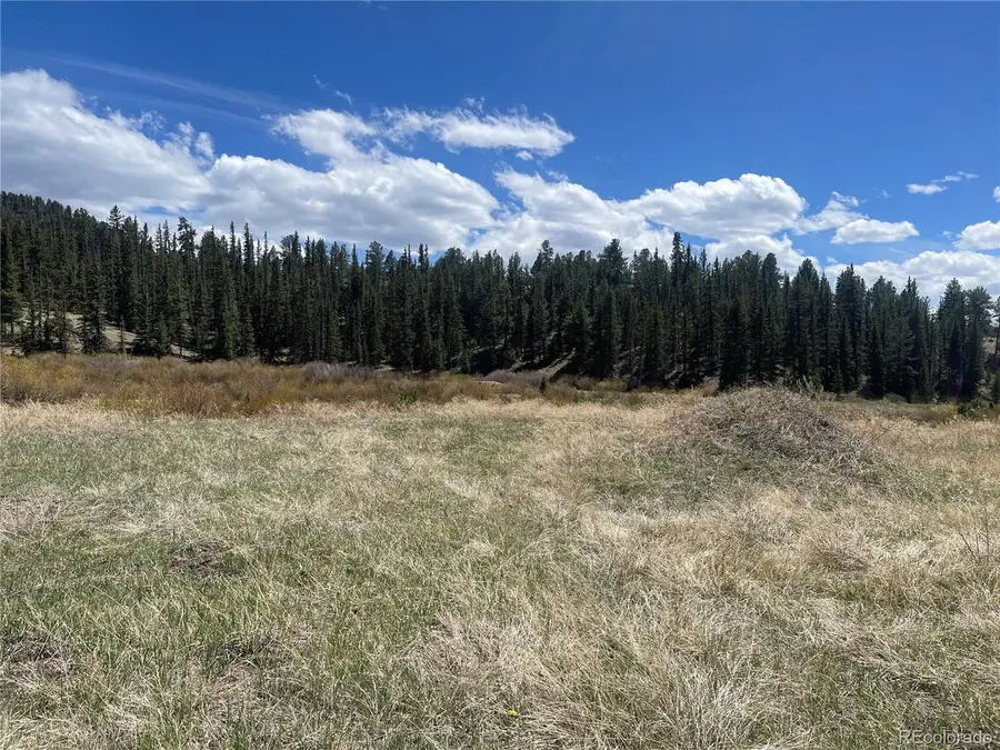 Address Withheld By Seller, Florissant, CO 80816 - #3