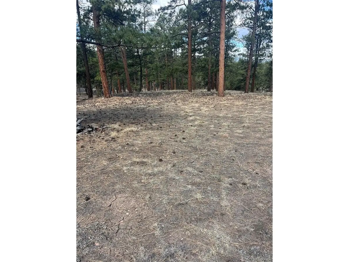 185 Sioux Trl, Westcliffe, CO 81252 - #1