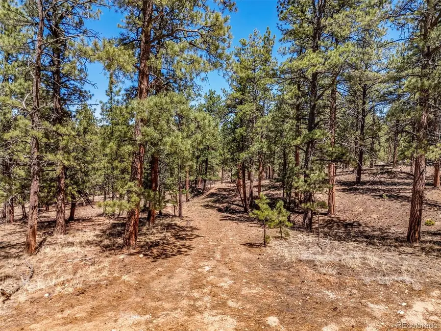 185 Sioux Trl, Westcliffe, CO 81252 - #3