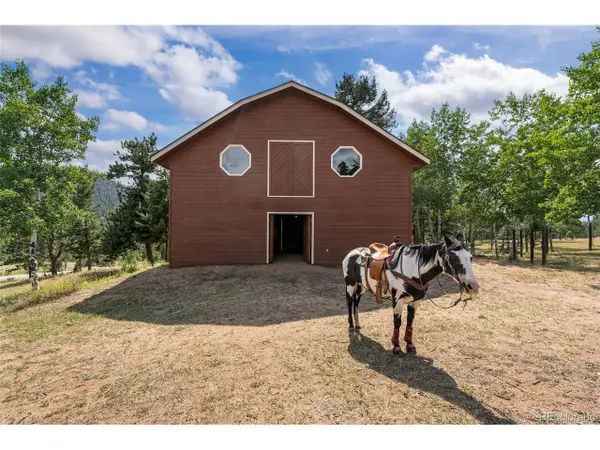 48 Allen Cir, Pine, CO 80470