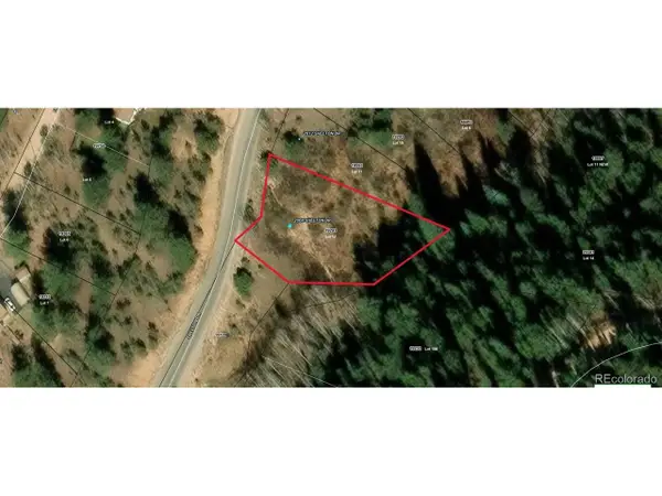 2004 Shelton Dr, Bailey, CO 80421