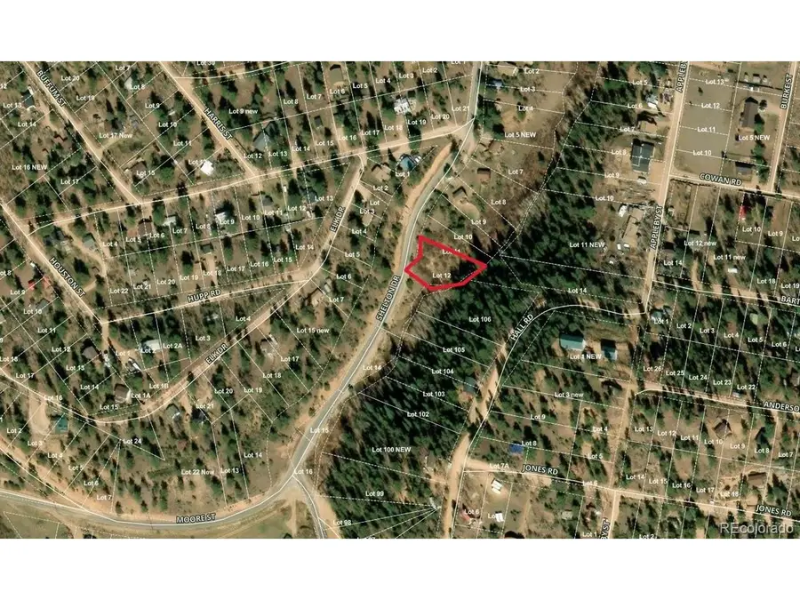 2004 Shelton Dr, Bailey, CO 80421 - #2