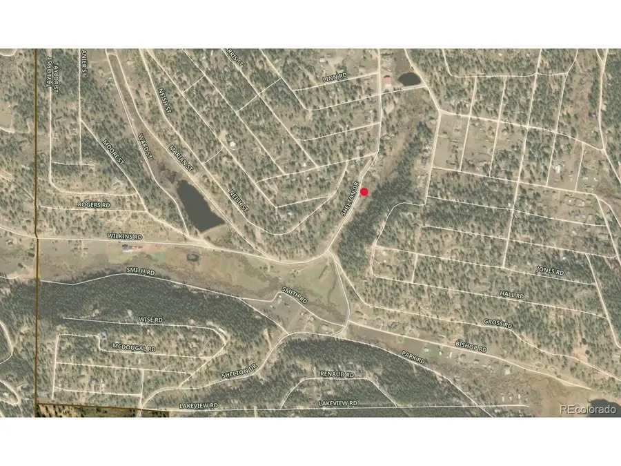 2004 Shelton Dr, Bailey, CO 80421 - #3