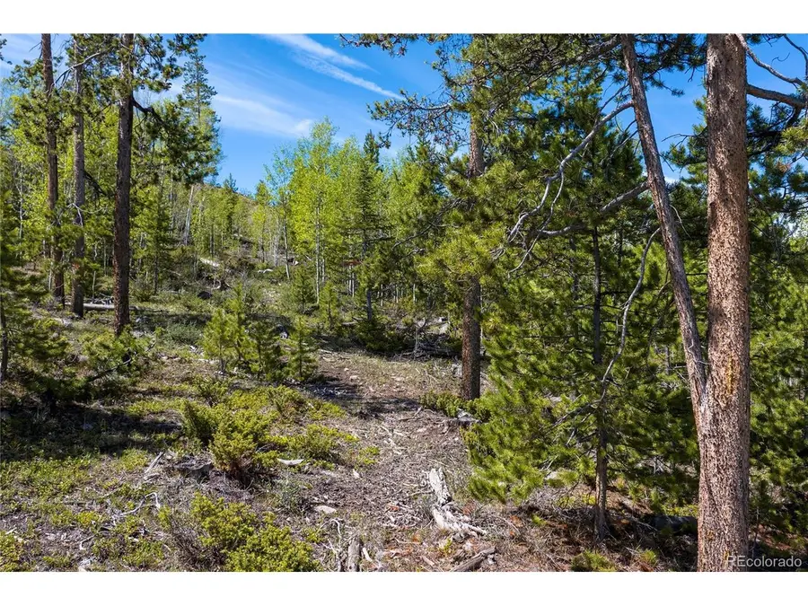 330 Cirrus Way, Granby, CO 80446 - #3