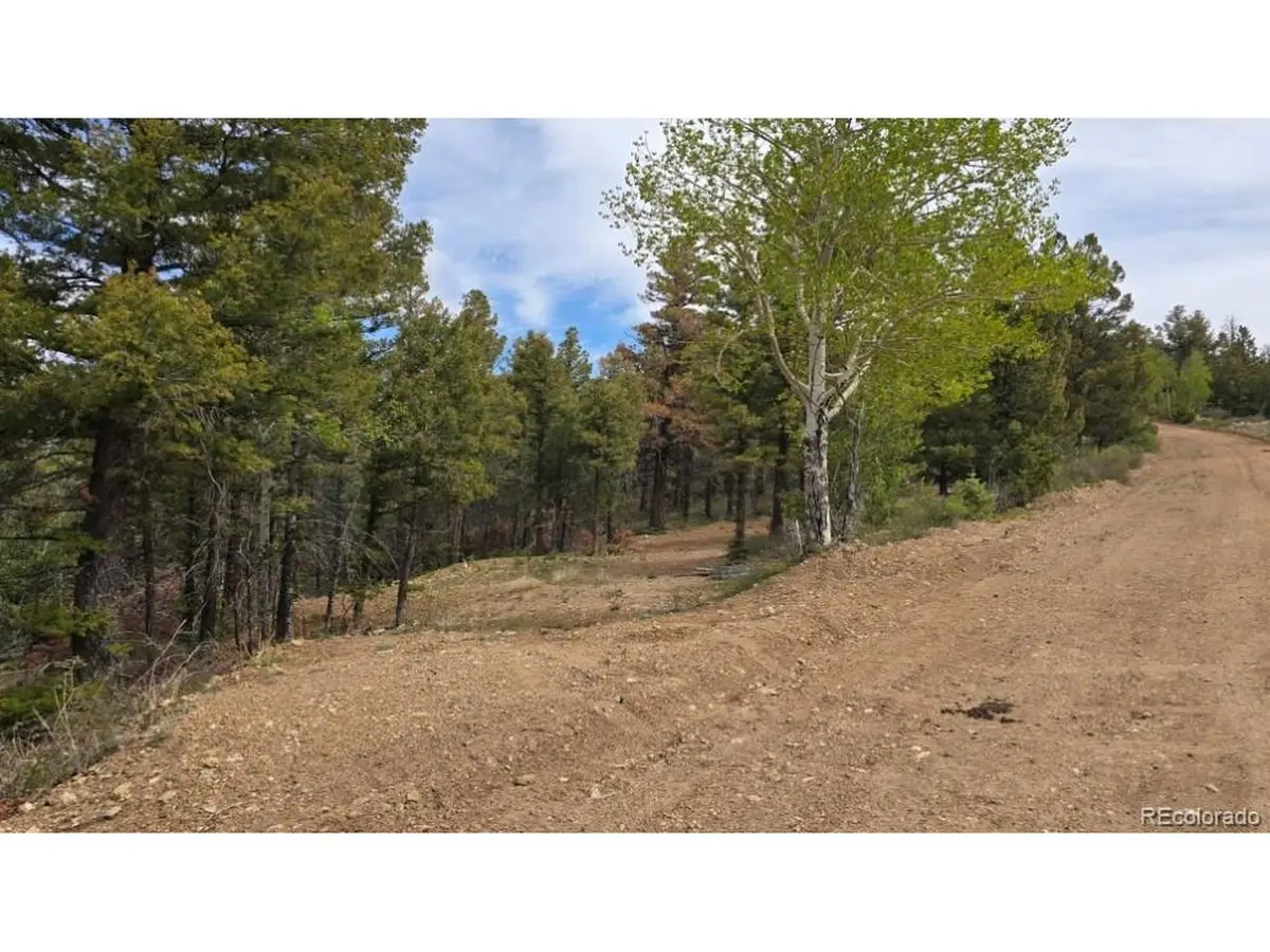 5825 Covington Rd, Fort Garland, CO 81133 - #1