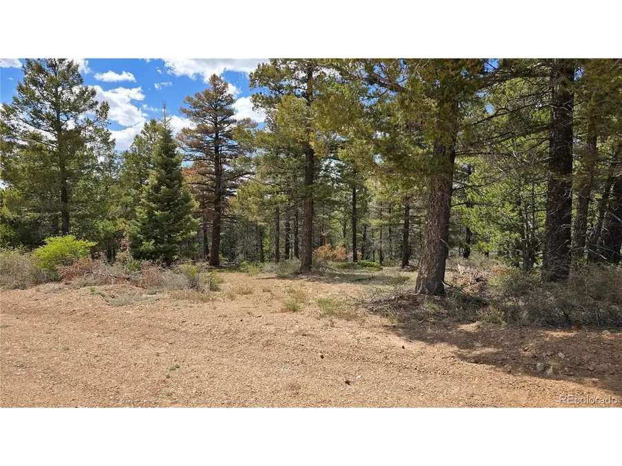 5825 Covington Rd, Fort Garland, CO 81133 - #3