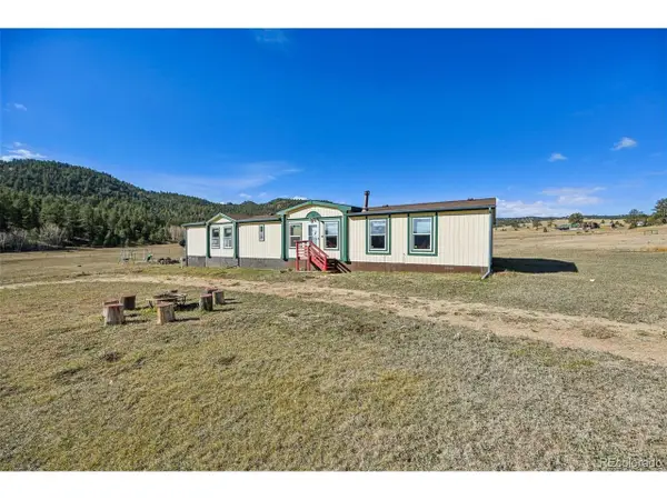966 County Road 411, Florissant, CO 80816