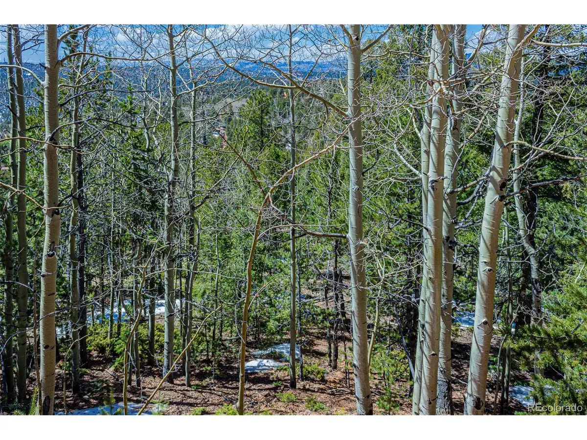 336 Witherite Dr, Divide, CO 80814 - #1