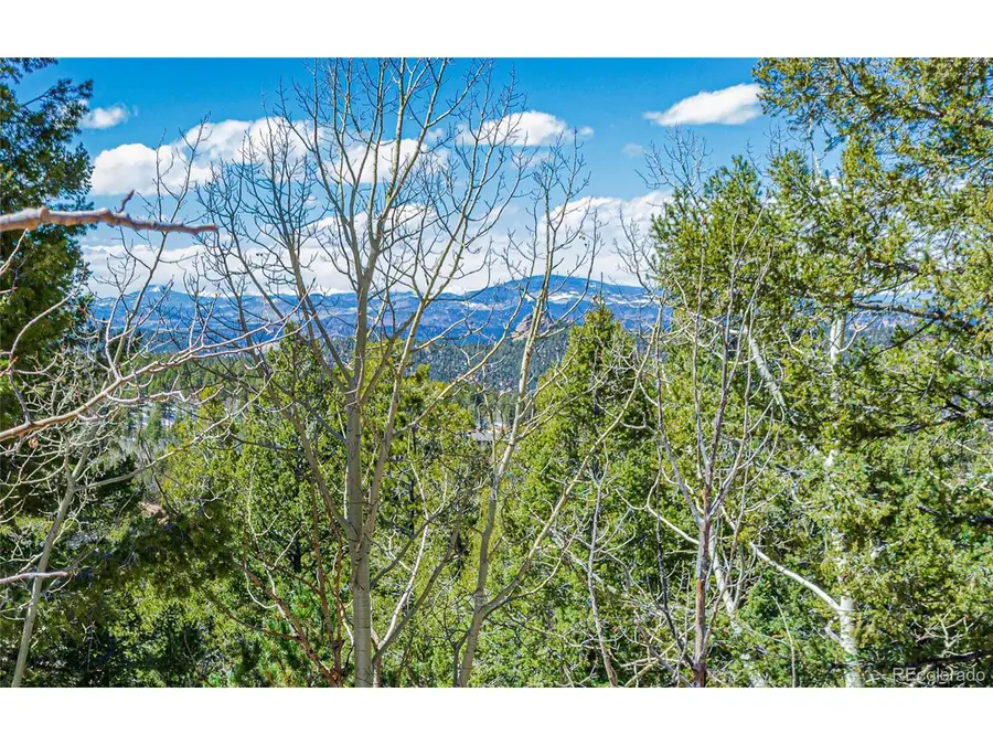 336 Witherite Dr, Divide, CO 80814 - #2