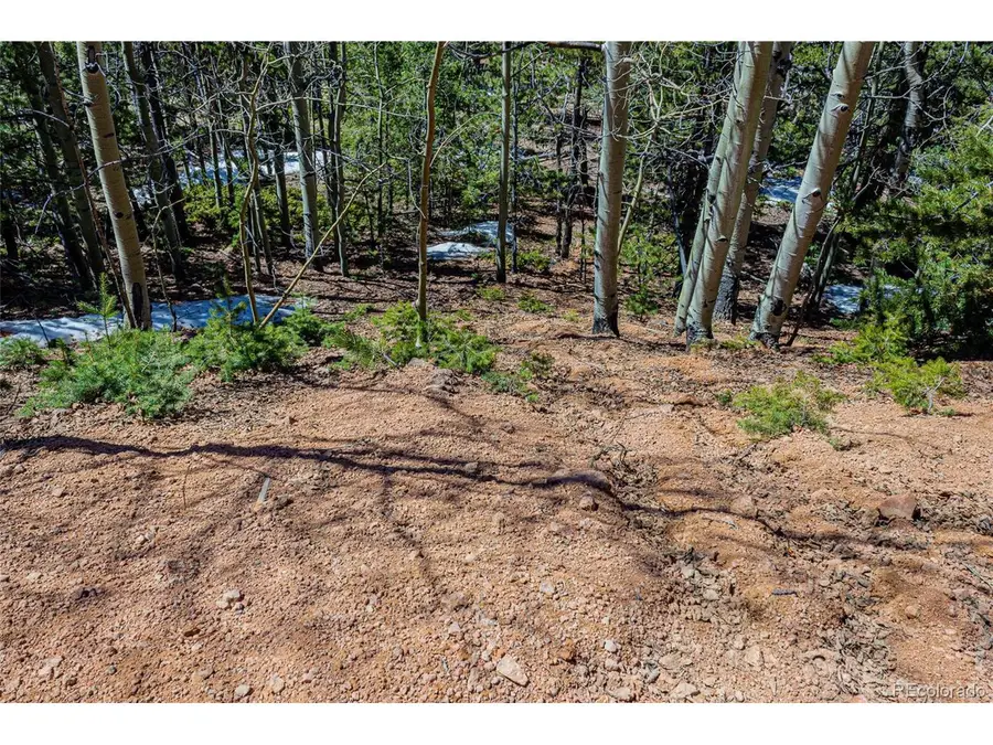 336 Witherite Dr, Divide, CO 80814 - #3