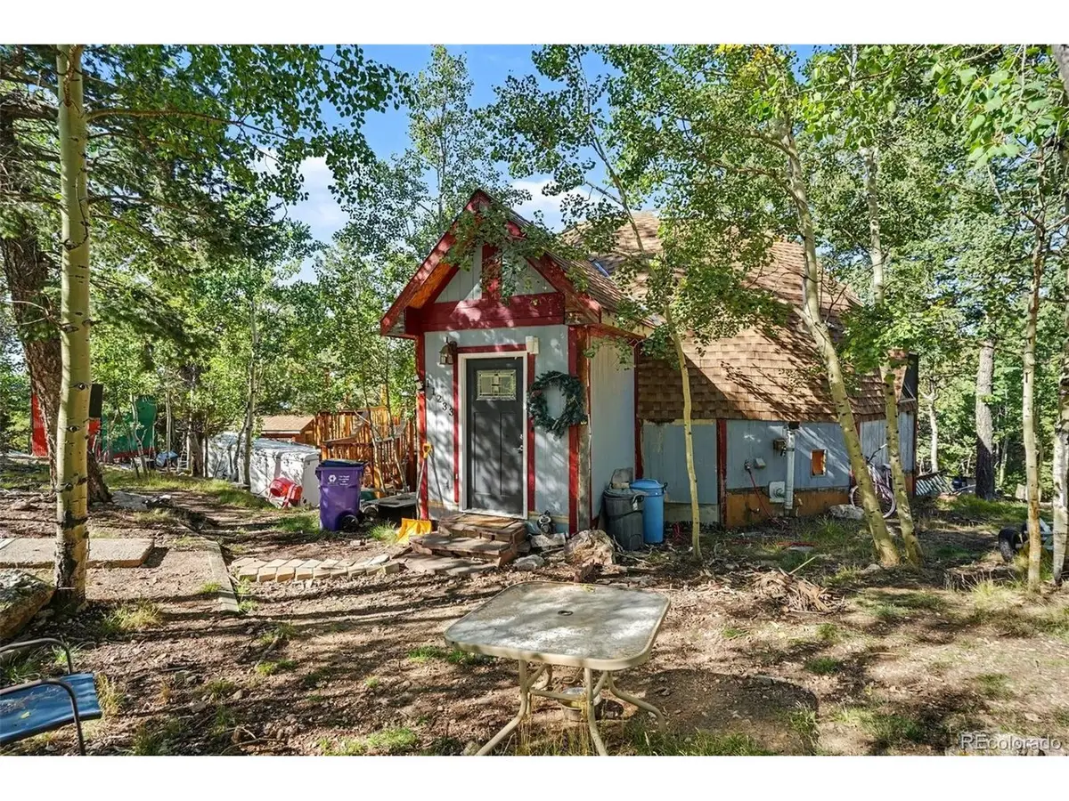 11233 Conifer Mountain Rd, Conifer, CO 80433 - #1