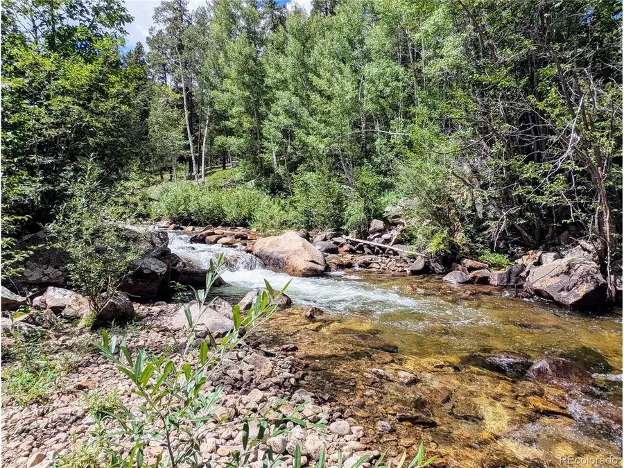 23795 County Road 162, Nathrop, CO 81236 - #3