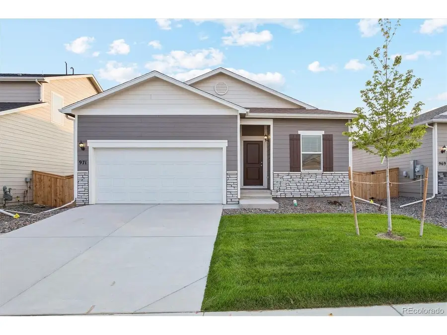971 Cascade Falls St, Severance, CO 80550 - #3