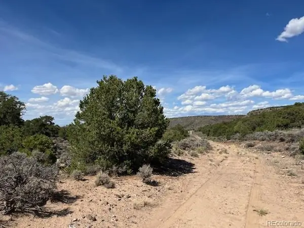 Flintlock Trail, Lot 110, San Luis, CO 81152