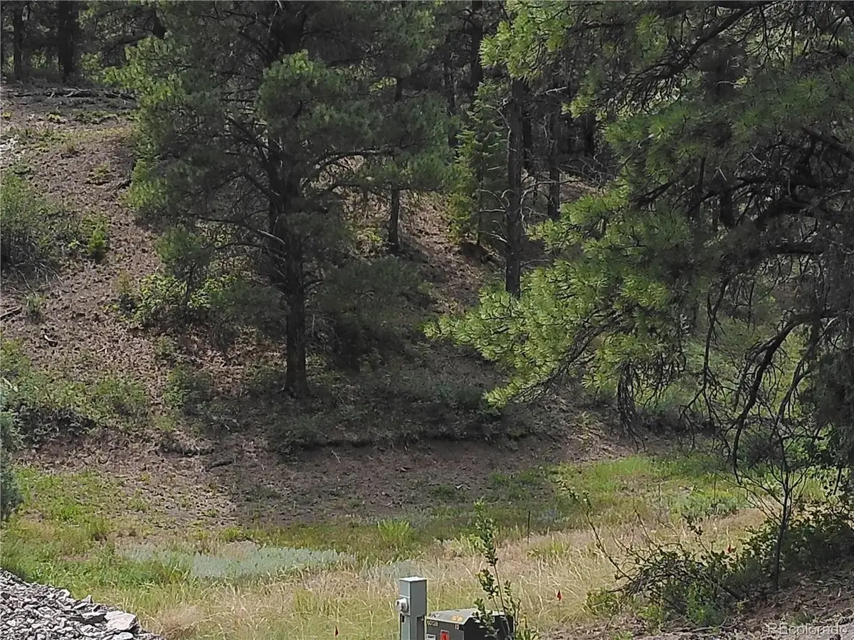 165 Tiffany Pl, Pagosa Springs, CO 81147 - #1