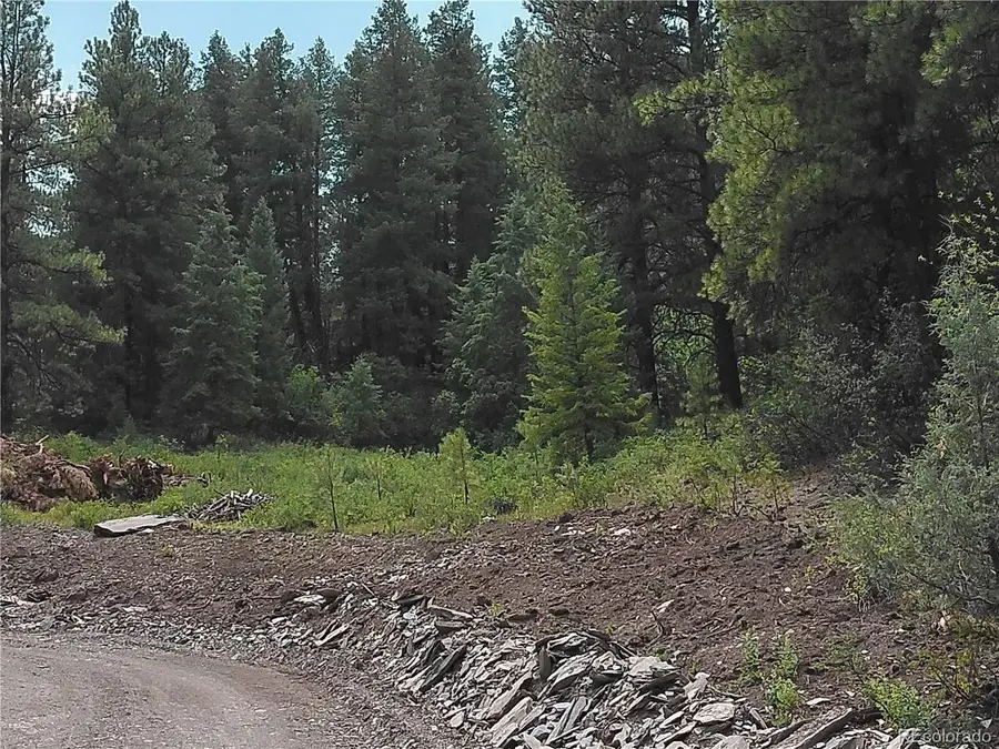 165 Tiffany Pl, Pagosa Springs, CO 81147 - #3