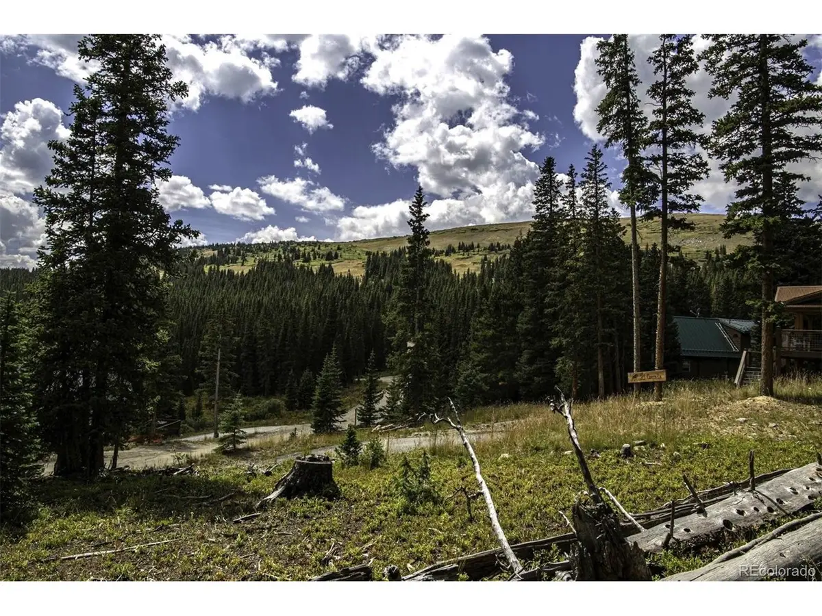 233 Camron Ln, Breckenridge, CO 80424 - #1