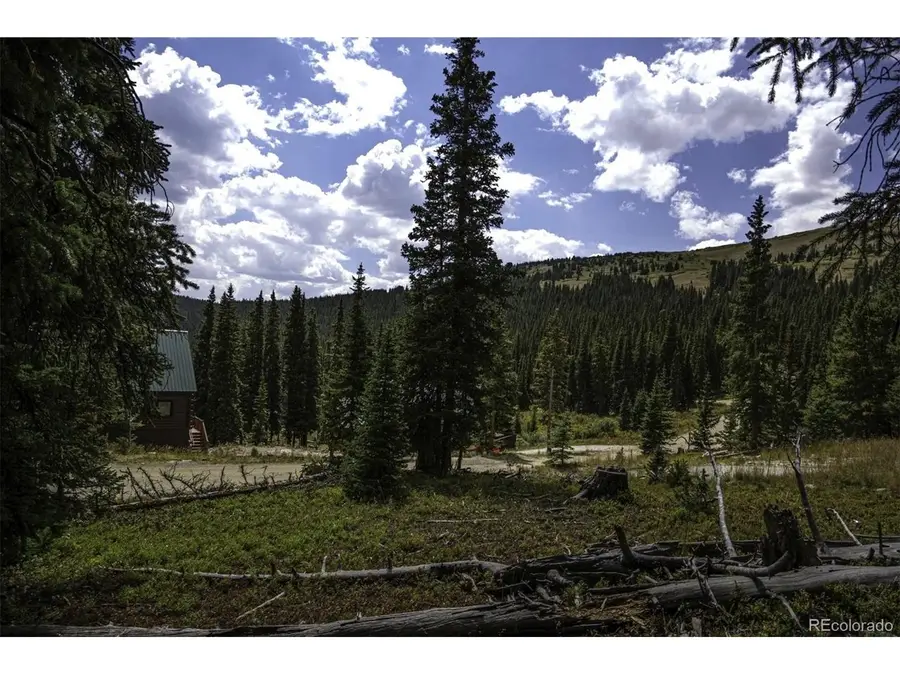 233 Camron Ln, Breckenridge, CO 80424 - #3