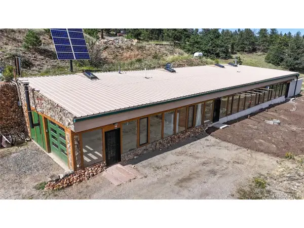 1110 Missouri Flats Rd, Central City, CO 80427