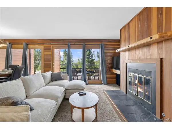 91300 Ryan Gulch Rd #91301, Silverthorne, CO 80498