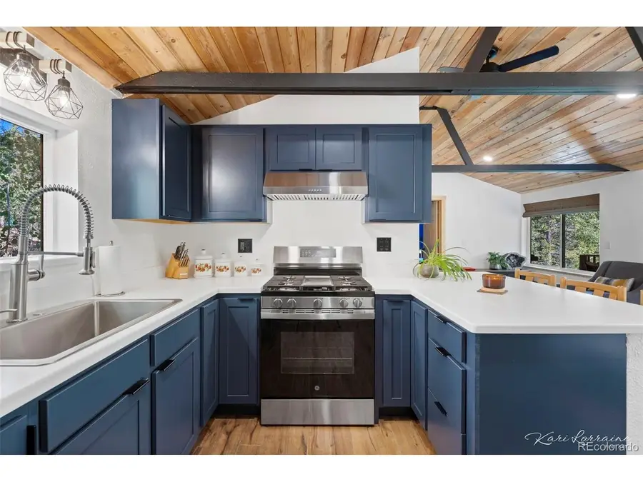582 Karlann Dr, Black Hawk, CO 80422 - #3