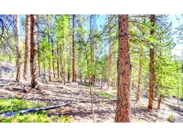 2222 Swift Claim Rd, Georgetown, CO 80444