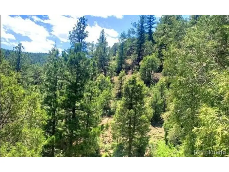2222 Swift Claim Rd, Georgetown, CO 80444 - #2