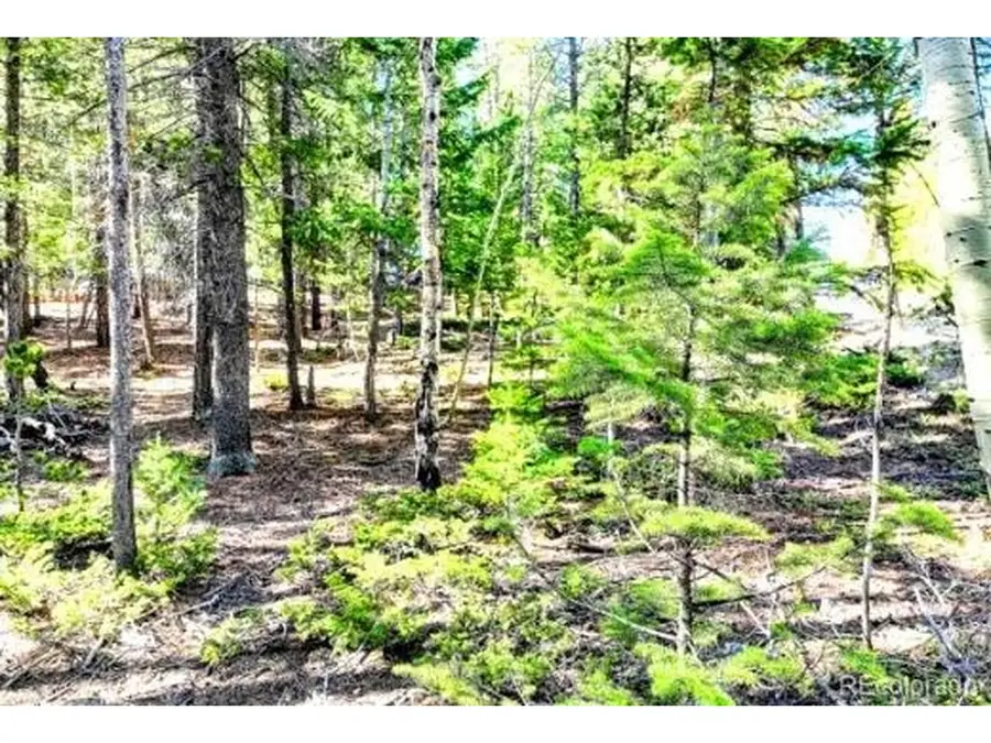 2222 Swift Claim Rd, Georgetown, CO 80444 - #3