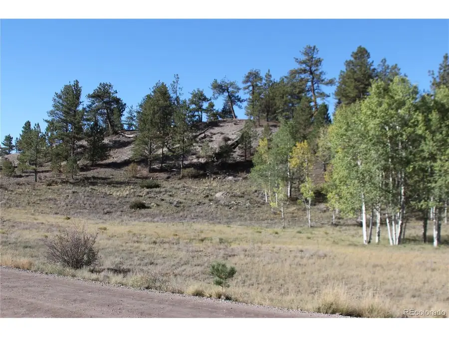 2721 Ranch Rd, Hartsel, CO 80449 - #2
