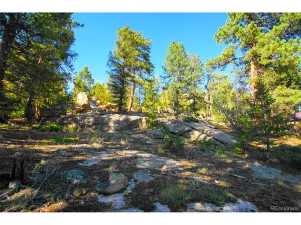 30599 Rand Rd, Conifer, CO 80433