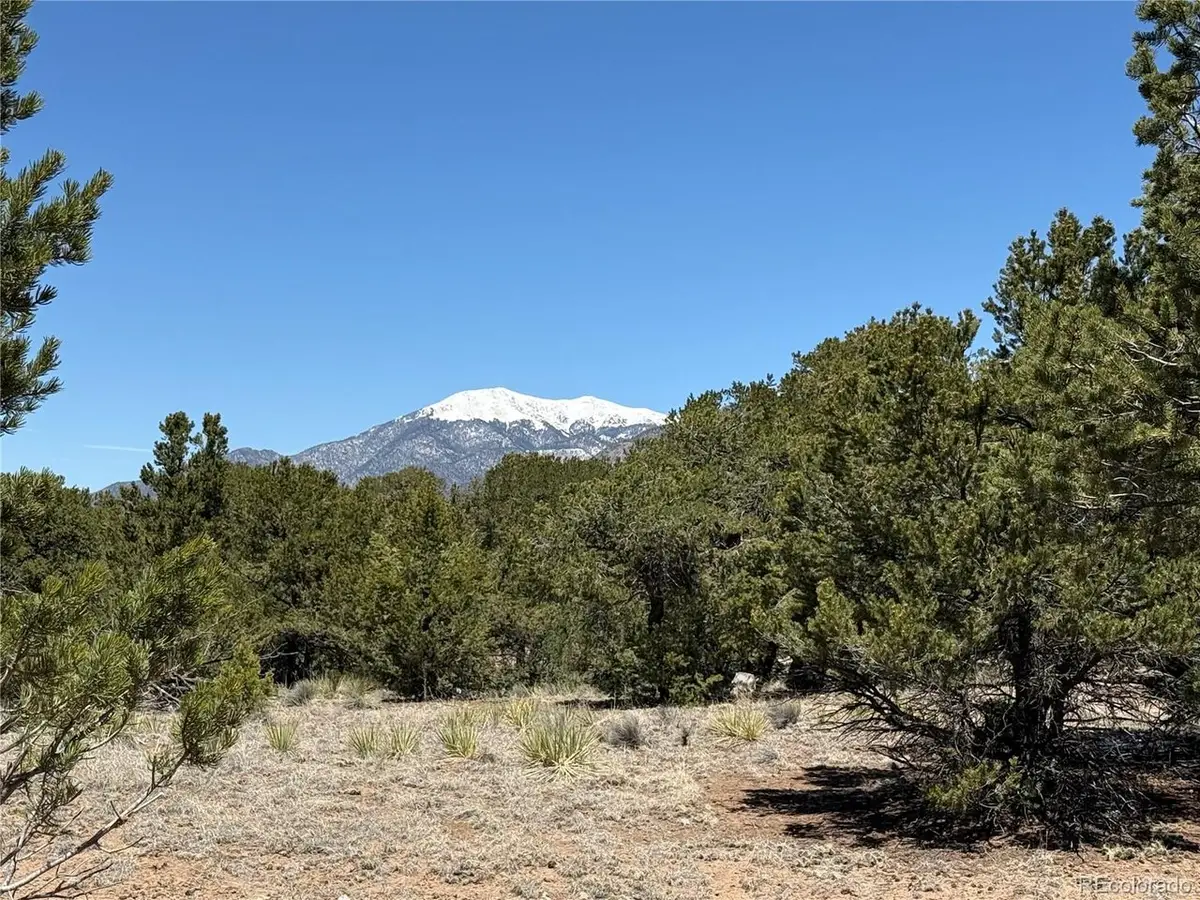 3231 Camino Del Rey, Crestone, CO 81131 - #1