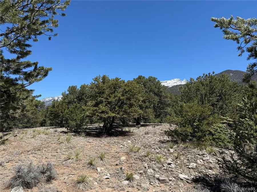 3231 Camino Del Rey, Crestone, CO 81131 - #2