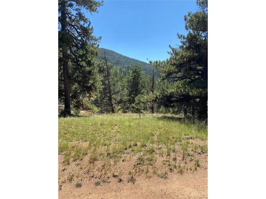 452 Wilson Dr, Florissant, CO 80816 - #2