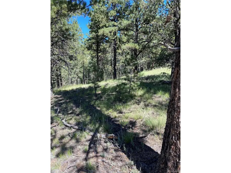 452 Wilson Dr, Florissant, CO 80816 - #3