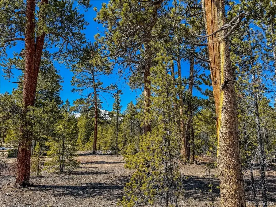 199 Cedar Dr, Twin Lakes, CO 81251 - #3