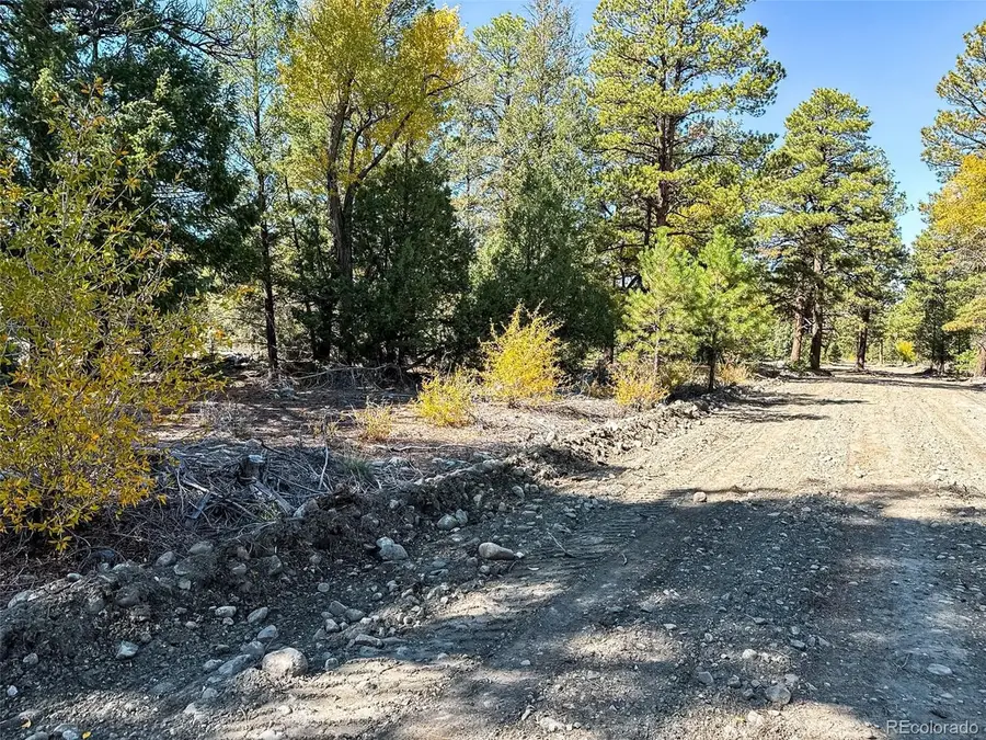 54 Big Bear Rd, Mosca, CO 81146 - #3