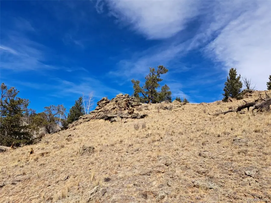 3646 Remington Rd, Como, CO 80432 - #3