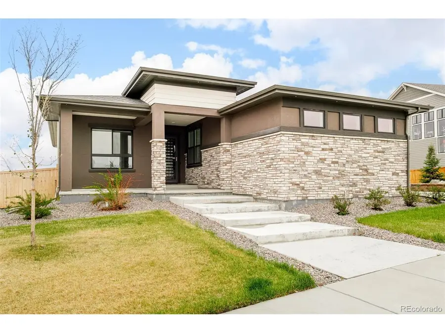 17284 Rose Mallow Ave, Parker, CO 80134 - #2