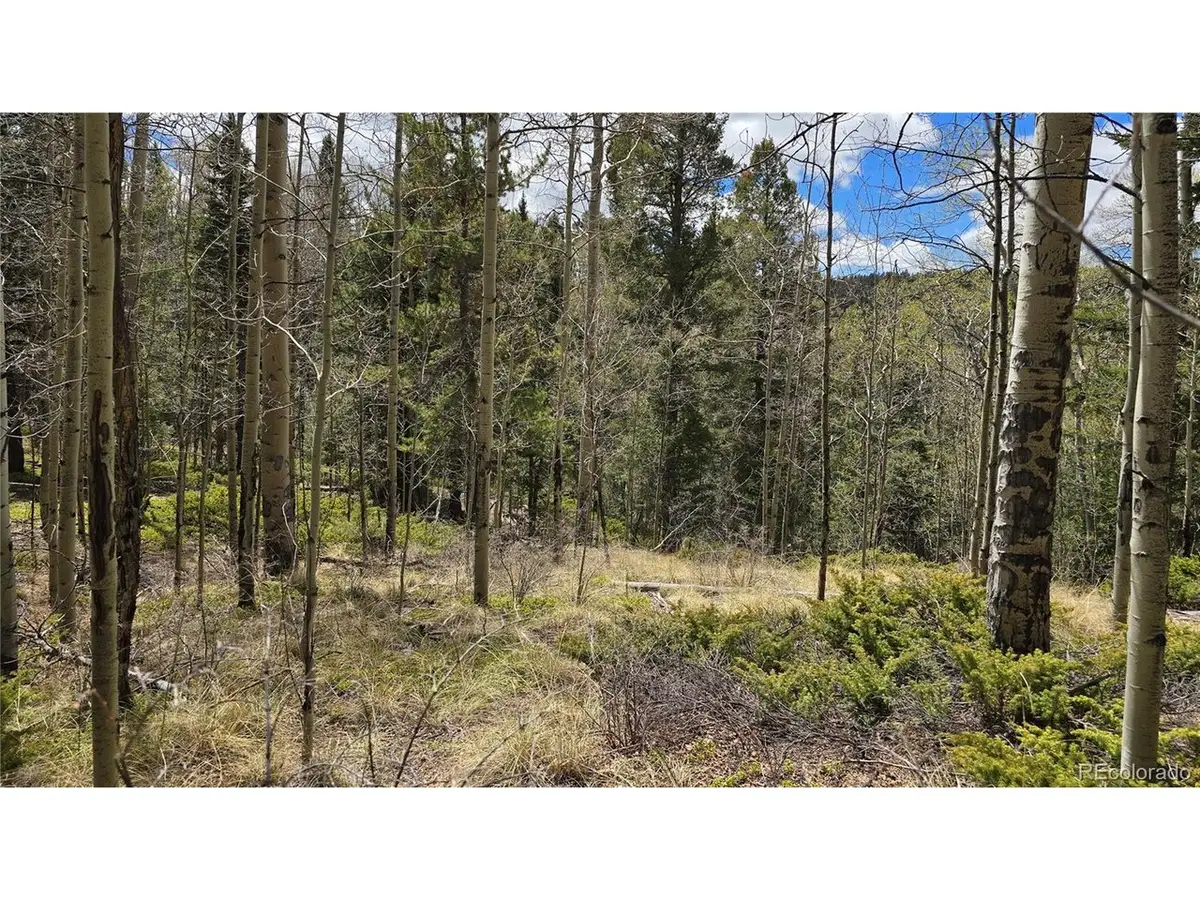 5853 Slegers Rd, Fort Garland, CO 81133 - #1