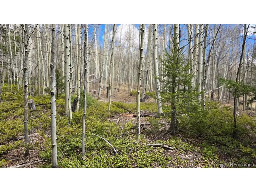5853 Slegers Rd, Fort Garland, CO 81133 - #2