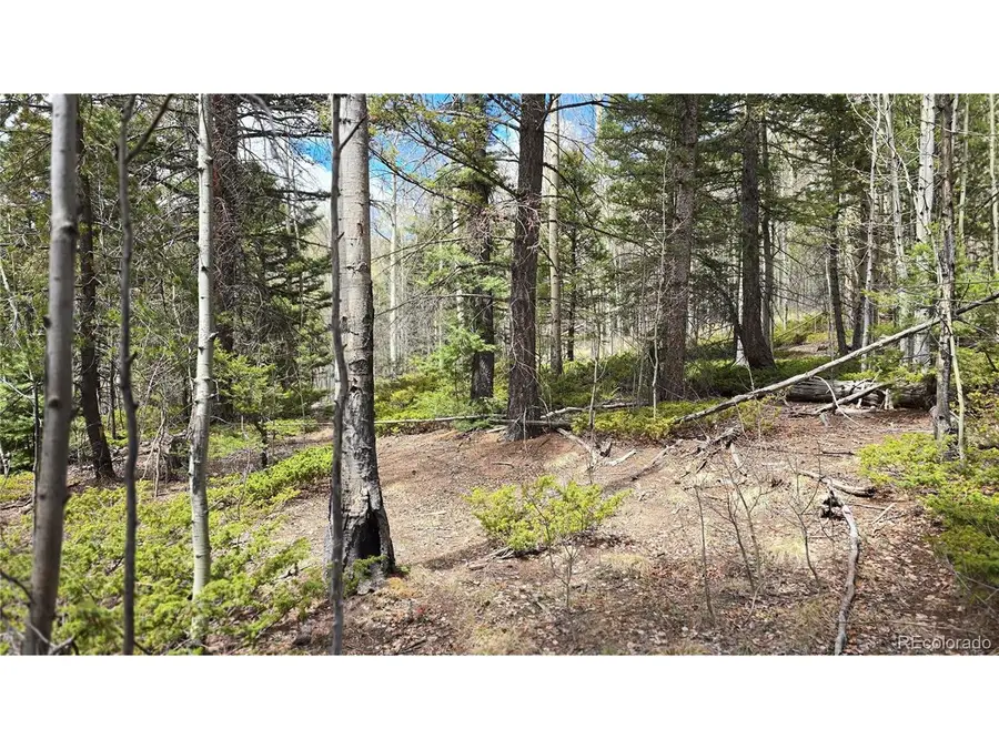 5853 Slegers Rd, Fort Garland, CO 81133 - #3