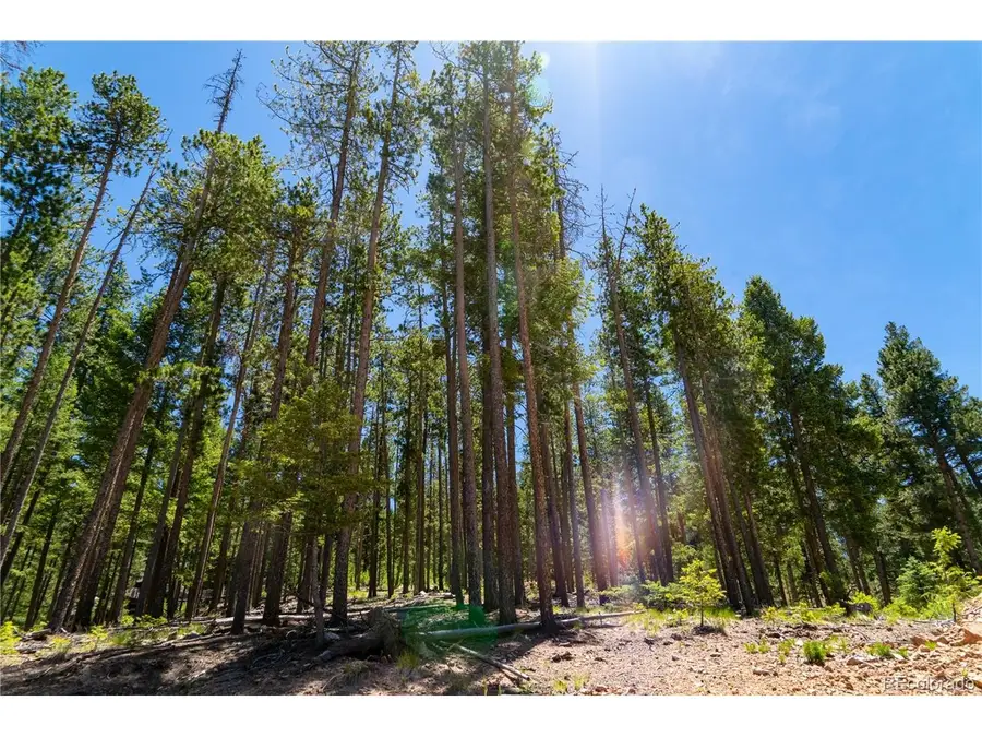 6814 Lynx Lair Rd, Evergreen, CO 80439 - #2