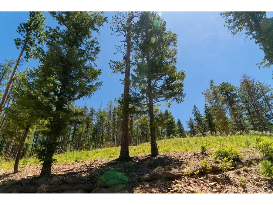 6814 Lynx Lair Rd, Evergreen, CO 80439 - #3