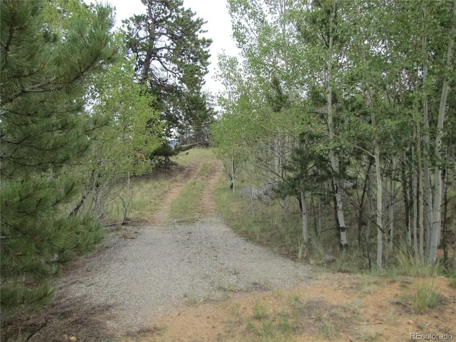 657 Pine Ln, Hartsel, CO 80449 - #2