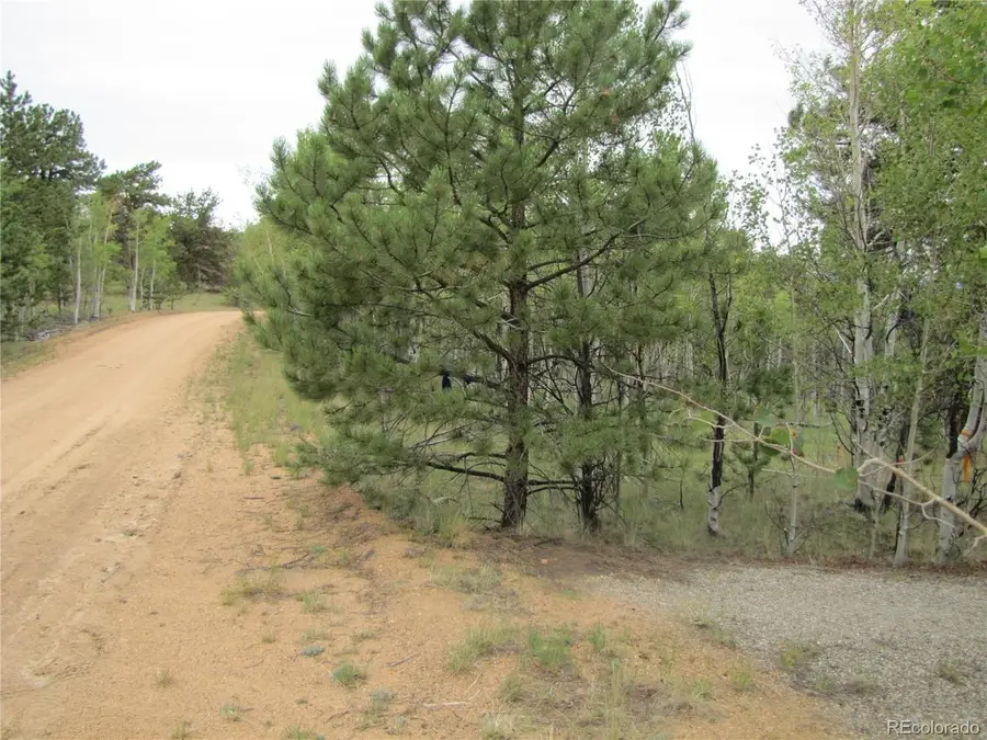 657 Pine Ln, Hartsel, CO 80449 - #3