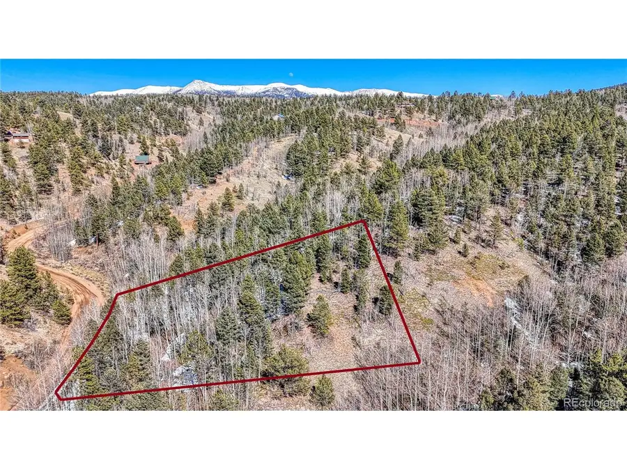 542 Vivenda Rd, Cripple Creek, CO 80813 - #2