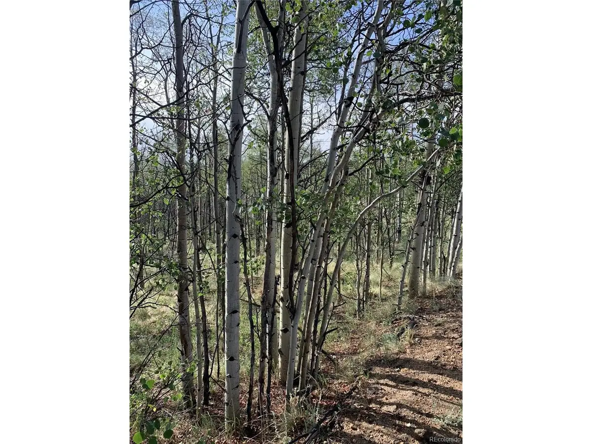 540 Vulture Ln, Como, CO 80432 - #1