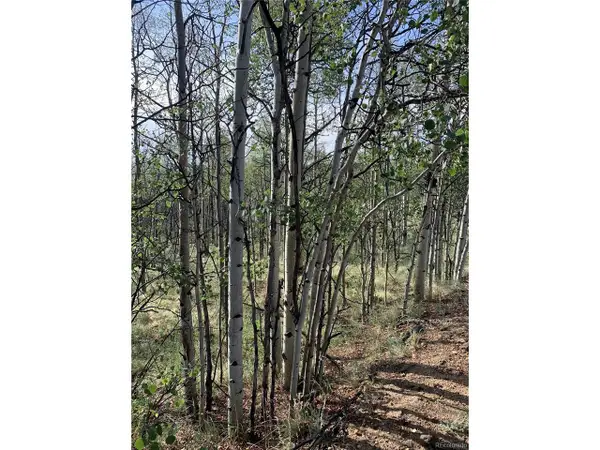 540 Vulture Ln, Como, CO 80432